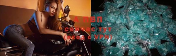 ALPHA-PVP Арсеньев